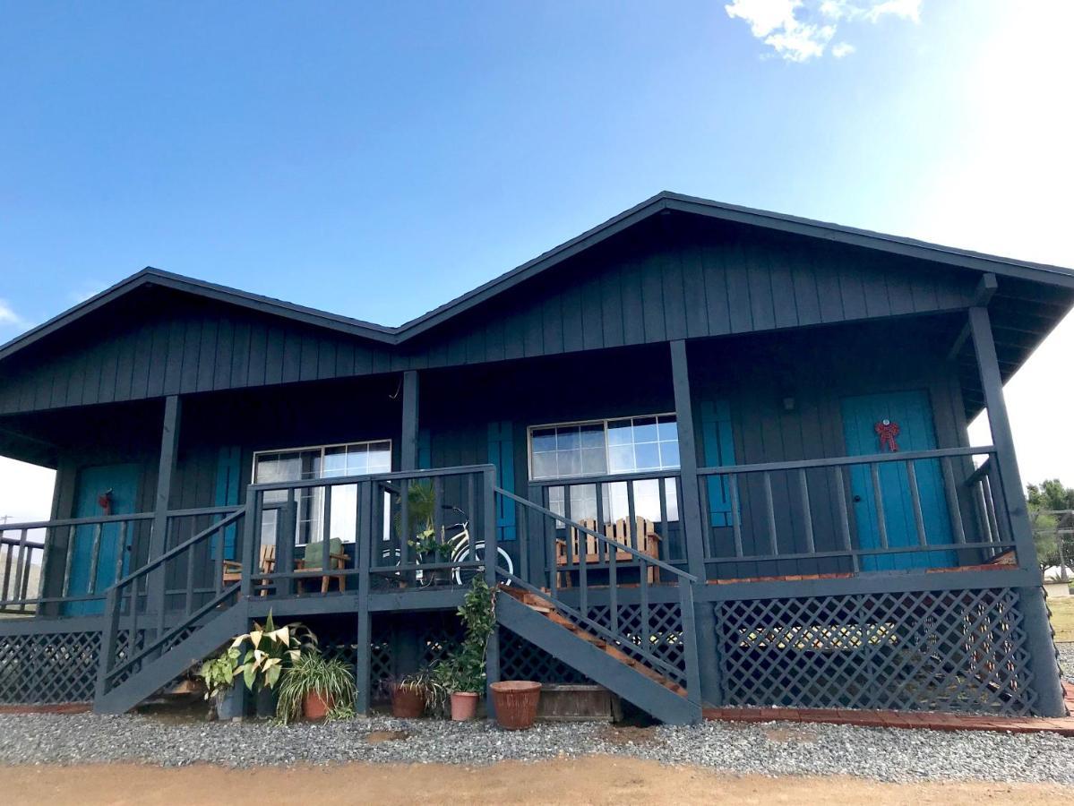 Bajo El Sol Del Valle Valle de Guadalupe Exterior photo